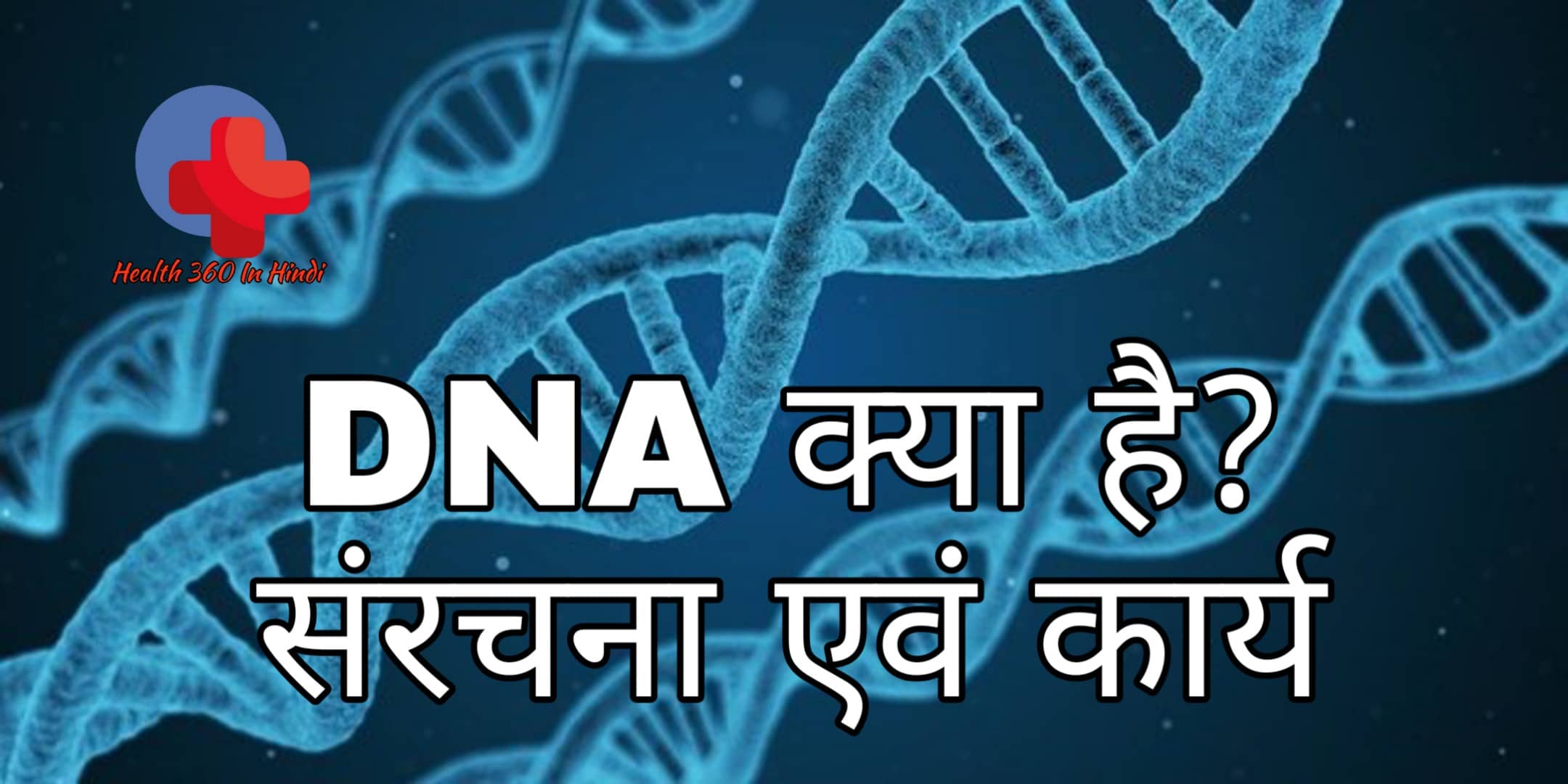 dna-what-is-dna-in-hindi-structure-and-functions